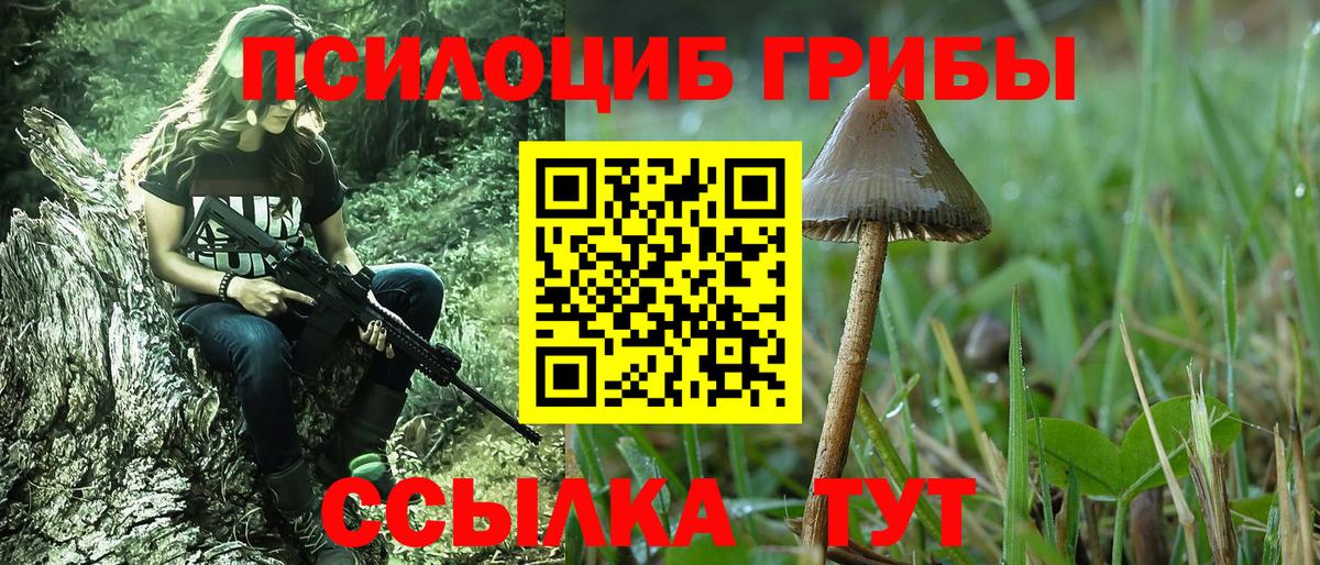 Галлюциногенные грибы Cubensis Полысаево